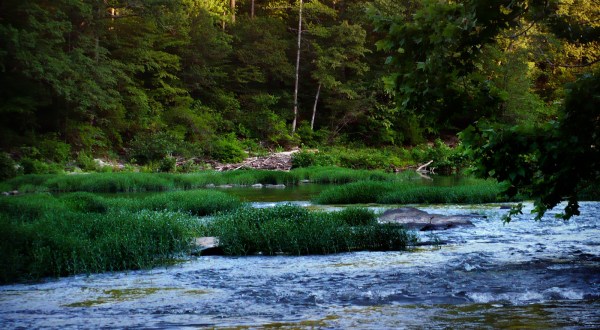 This Little Known Natural Oasis Is Hiding In Alabama… And You’re Going To Love It
