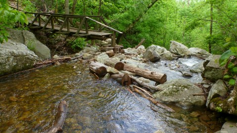 This One Easy Hike In Virginia Will Lead You Someplace Unforgettable