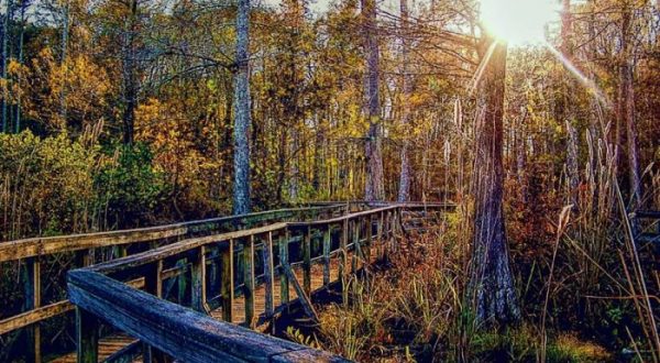 These 10 Mississippi Boardwalks Will Lead You To Unforgettable Places