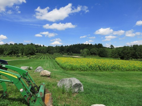 These 12 Charming Farms In Rhode Island Will Make You Love The Country