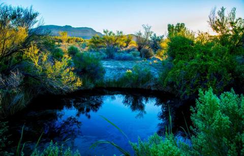This Little Known Natural Oasis Is Hiding In Nevada... And You're Going To Love It