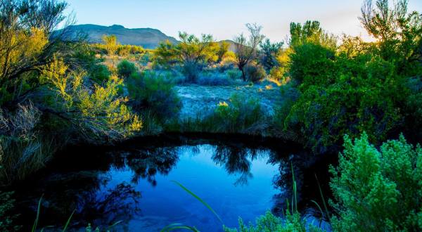 This Little Known Natural Oasis Is Hiding In Nevada… And You’re Going To Love It