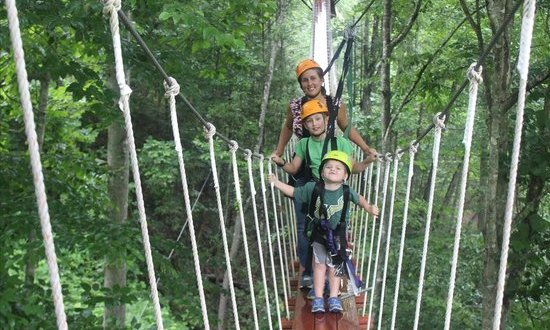This Canopy Walk In Tennessee Will Make Your Stomach Drop