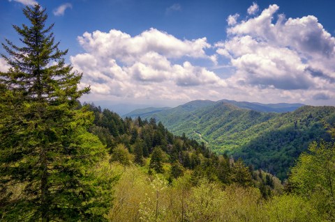 These 7 Beautiful Byways In Tennessee Are Perfect For A Scenic Drive