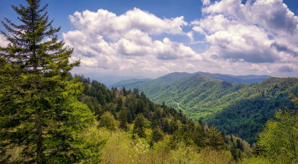 These 7 Beautiful Byways In Tennessee Are Perfect For A Scenic Drive