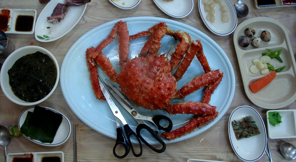 20 Reasons Why King Crab Became Alaska’s Most Beloved Food