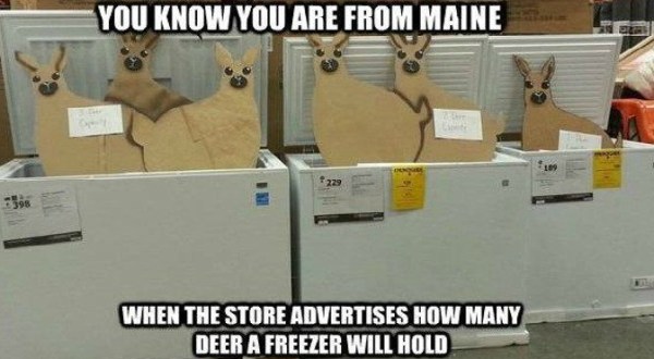 Here Are 15 Jokes About People In Maine That Are Actually Funny