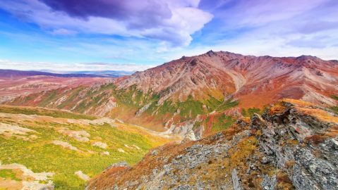 15 Fascinating Things You Probably Didn’t Know About Denali National Park