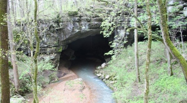 Hiking To This Aboveground Cave In Alabama Will Give You A Surreal Experience