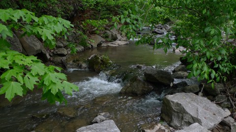 This Little Known Natural Oasis Is Hiding In Kentucky... And You're Going To Love It