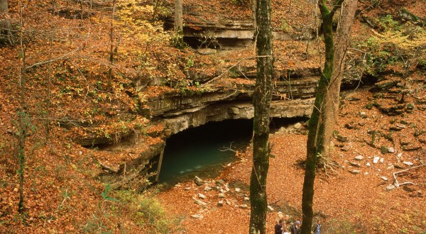 Hiking To This Above Ground Cave In Kentucky Will Give You A Surreal Experience