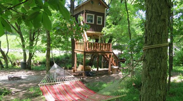 This Treehouse In Illinois Will Give You An Unforgettable Experience