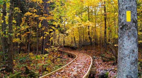 This One Easy Hike In Wisconsin Will Lead You Someplace Unforgettable