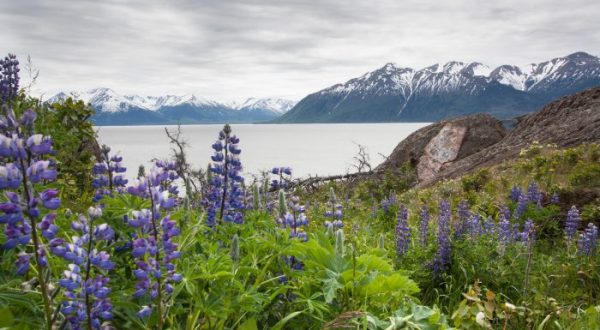 These 16 Beautiful Byways In Alaska Are Perfect For A Scenic Drive