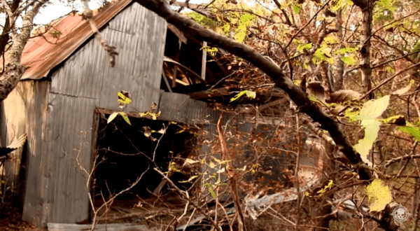 The Remnants Of This Abandoned Zoo In Austin Are Hauntingly Beautiful