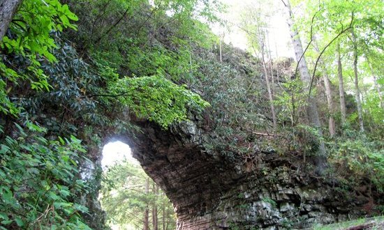 Most People Have No Idea This Unique Tunnel In Tennessee Exists