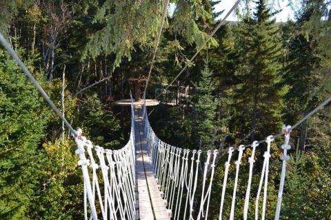This Canopy Walk In New Hampshire Will Make Your Stomach Drop