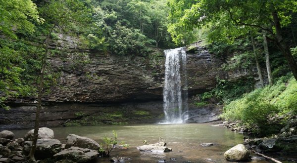 These 12 Rustic Spots In Georgia Are Extraordinary For Camping
