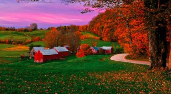 These 16 Charming Farms Across The U.S. Will Make You Love The Country