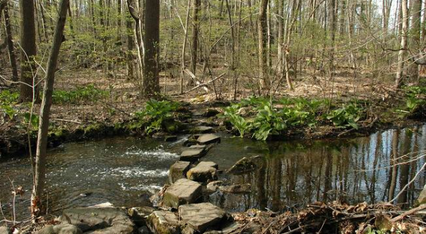 There’s No Place In New Jersey Like This Stunning Natural Sanctuary