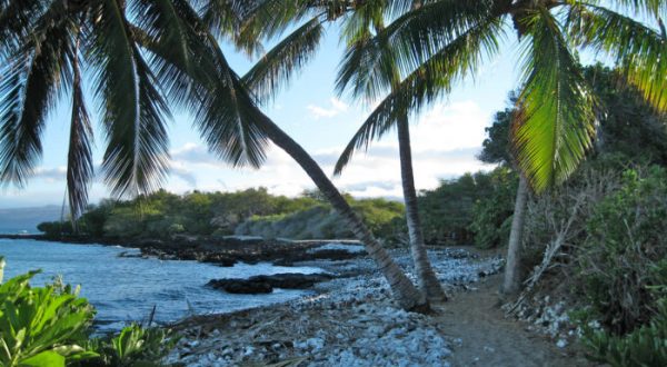 Everyone Needs To Visit These 6 National Parks In Hawaii As Soon As Possible