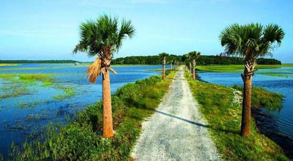 7 Incredible Private Islands In South Carolina That Can Be Yours