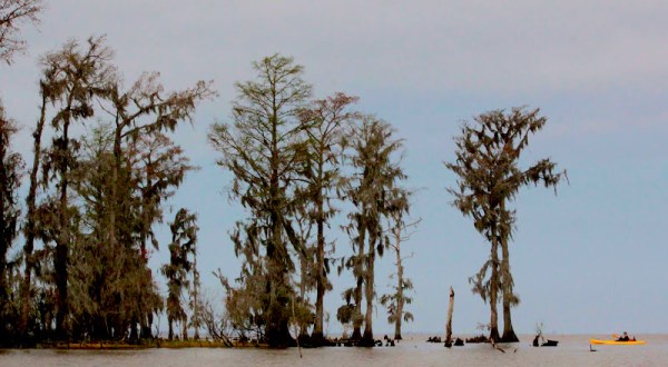 10 Unforgettable Tours Everyone In Louisiana Should Take At Least Once