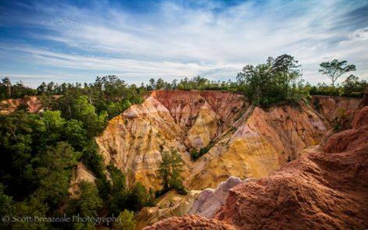 Mississippi’s Little Grand Canyon Is Too Beautiful For Words