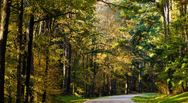 These 9 Beautiful Byways In Mississippi Are Perfect For A Scenic Drive