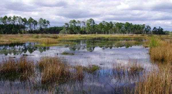 This Little Known Natural Oasis Is Hiding In Mississippi… And You’re Going To Love It