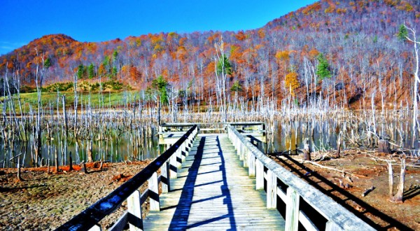 9 Boardwalks In West Virginia That Will Make Your Summer Awesome