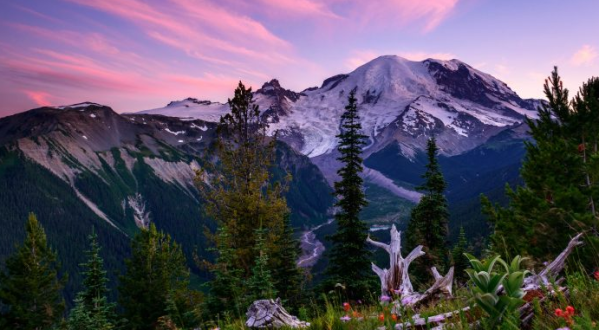 12 Undeniable Reasons Why Washington Will Always Be Home
