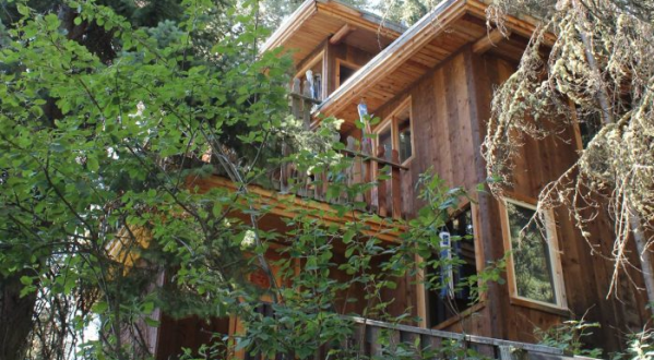 This Treehouse In Wyoming Will Give You An Unforgettable Experience