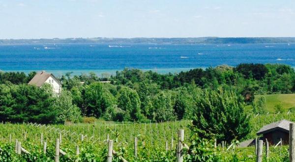 This Trail Through Michigan’s Gorgeous Wine Country Is Truly Unforgettable