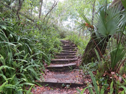 8 Incredible Hikes Under 5 Miles Everyone In Florida Should Take