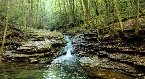 11 Marvels In Virginia That Must Be Seen To Be Believed