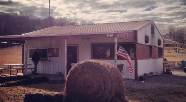 This Tiny Shop In Tennessee Serves Barbeque To Die For