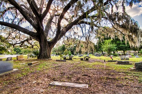 These 10 Haunted Cemeteries In Florida Are Not For The Faint Of Heart