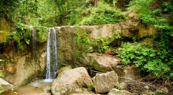 Everyone in Mississippi Must Visit This Epic Natural Spring As Soon As Possible