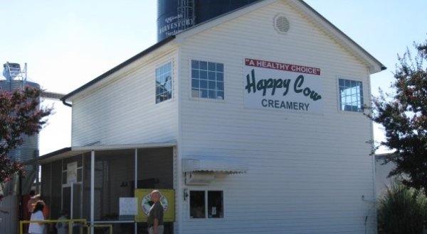 This Epic Chocolate Milk Factory In South Carolina Will Make You Feel Like A Kid Again
