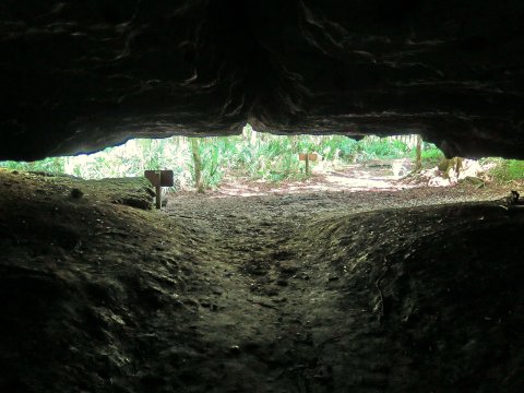 Most People Have No Idea This Unique Tunnel In Florida Exists