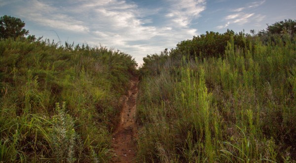 This Hike In Kansas Will Make You Feel Like A Hero