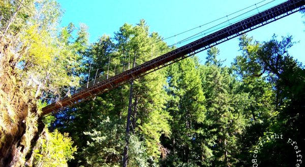 This Terrifying Swinging Bridge In Oregon Will Make Your Stomach Drop