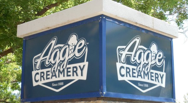 A Trip To This Epic Ice Cream Factory In Utah Will Make You Feel Like A Kid Again