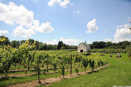 These 7 Beautiful Vineyards in New Hampshire Are A Must-Visit For Everyone