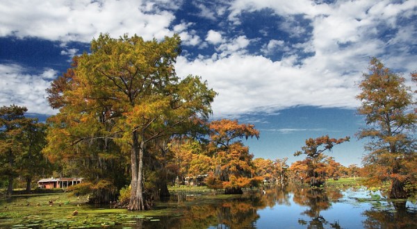 You Haven’t Lived Until You’ve Experienced This One Incredible Lake In Louisiana