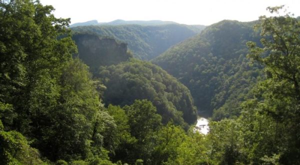 11 Once-In-A-Lifetime Adventures You Can Only Have In Virginia