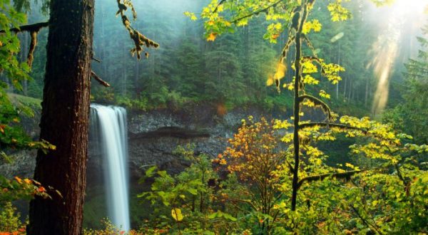 11 Once-In-A-Lifetime Adventures You Can Only Have In Oregon