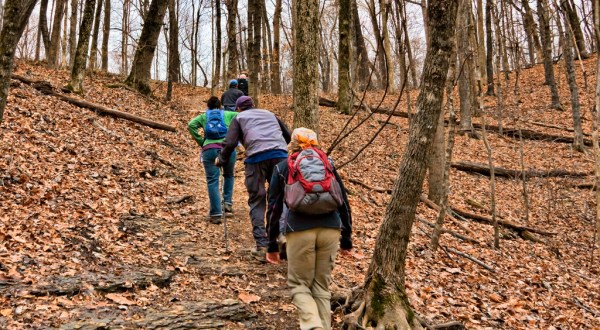 This Hike In Nashville Will Give You An Unforgettable Experience