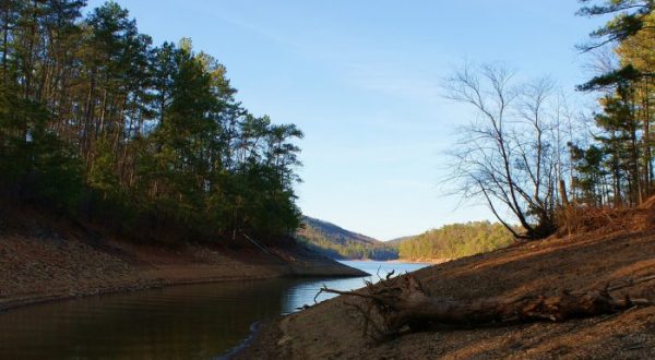 These 12 Gorgeous Waterfront Trails In Georgia Are Perfect For A Summer Day